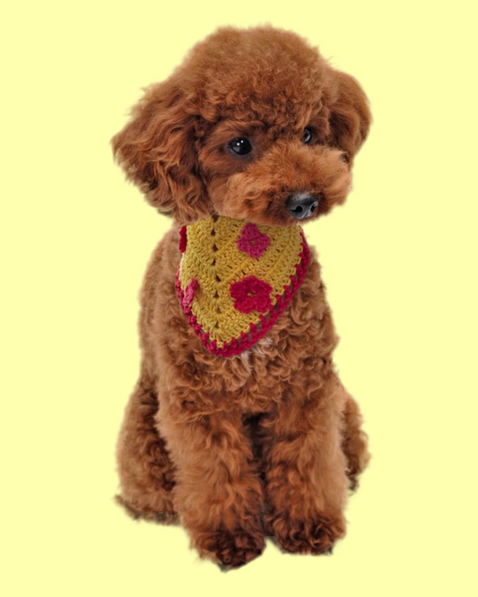 PAW-NDANA bandana per pelosetti