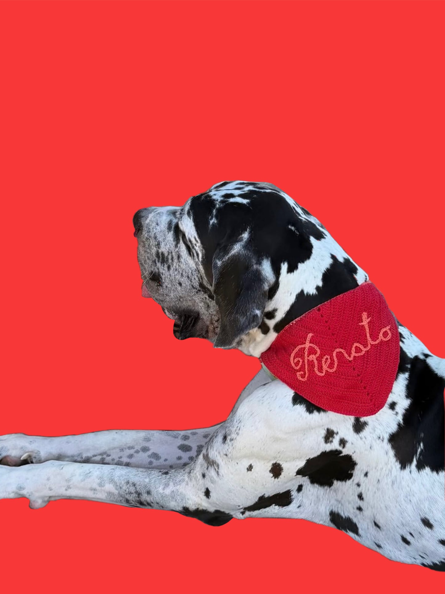 PAW-NDANA bandana per pelosetti