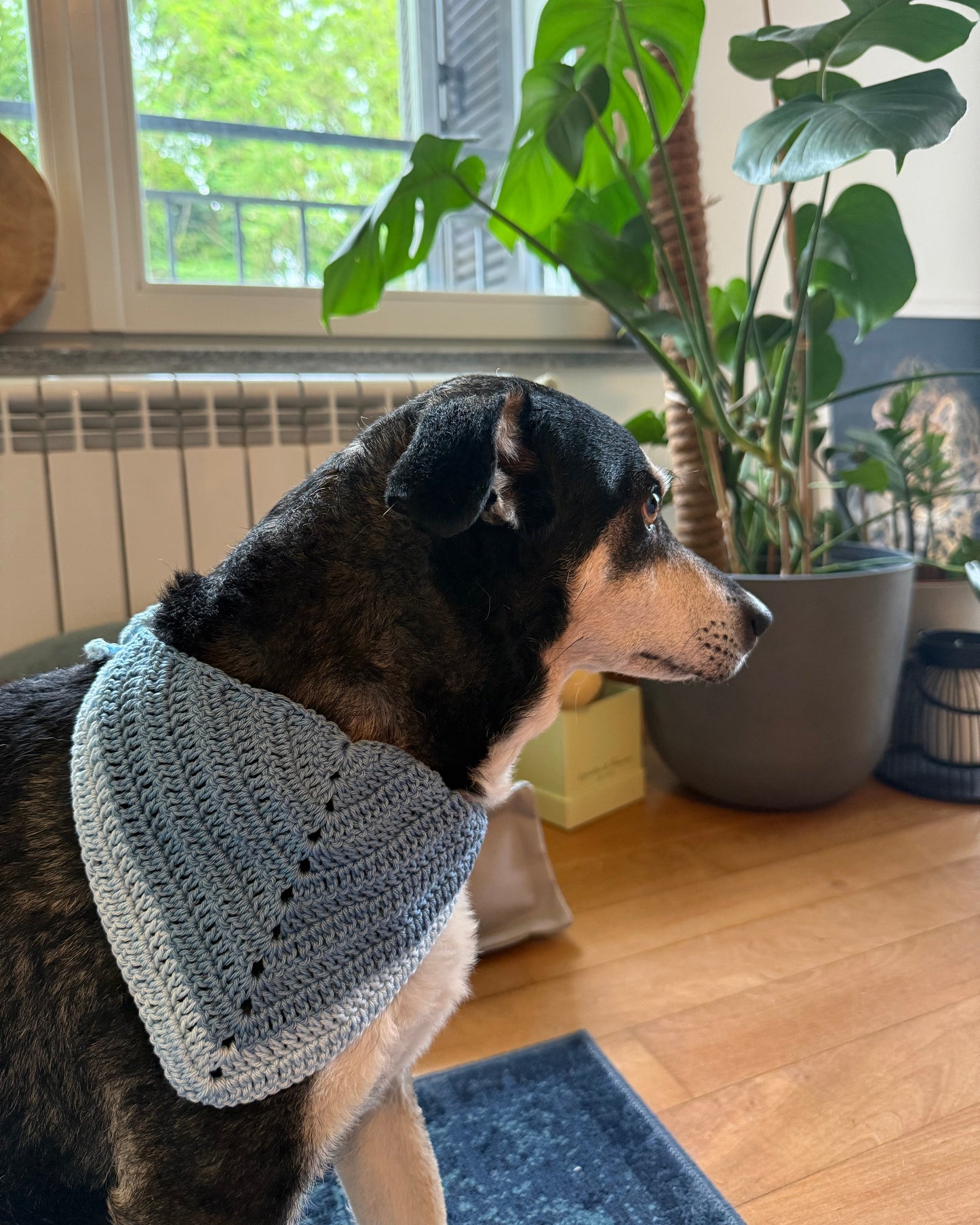 PAW-NDANA bandana per pelosetti