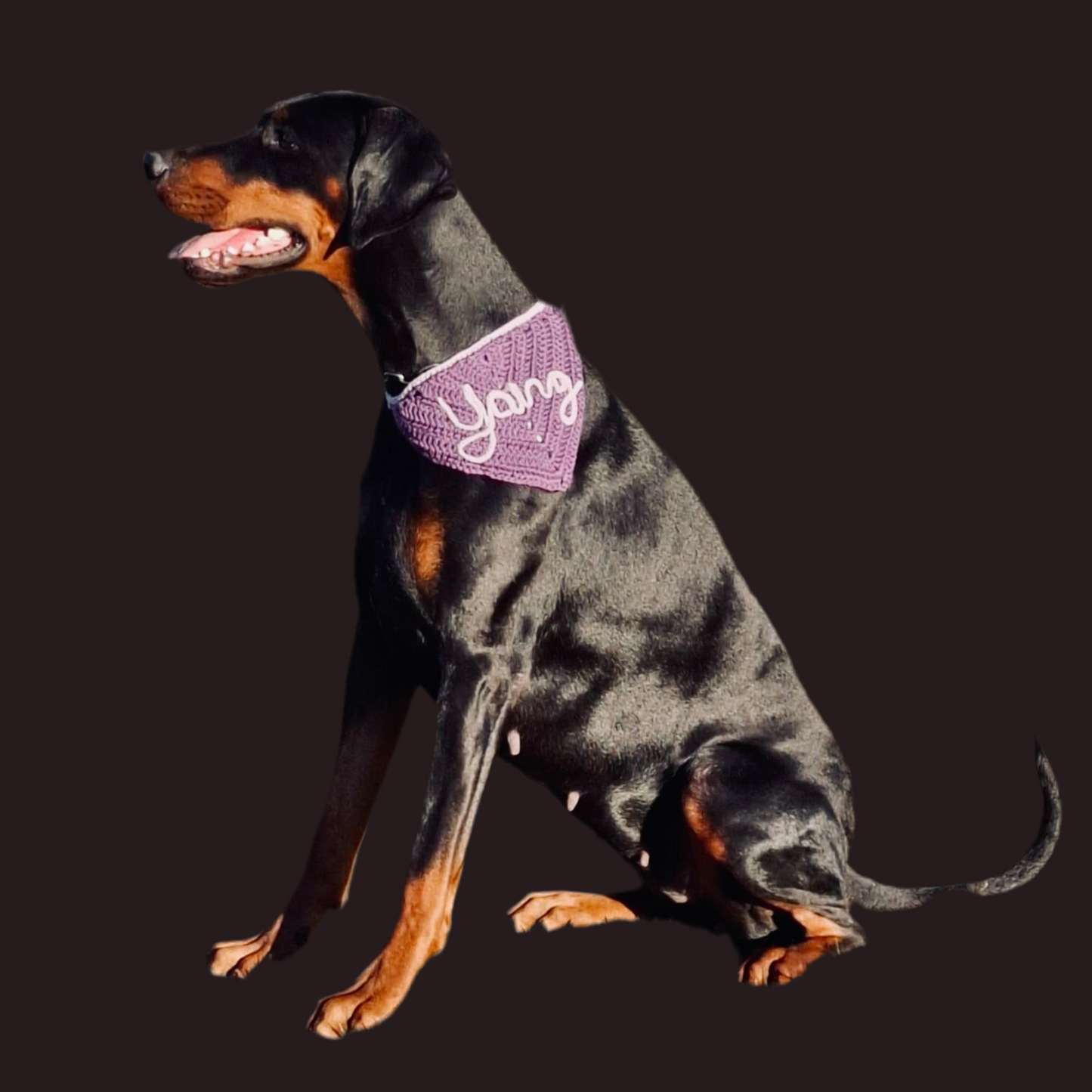 PAW-NDANA bandana per pelosetti