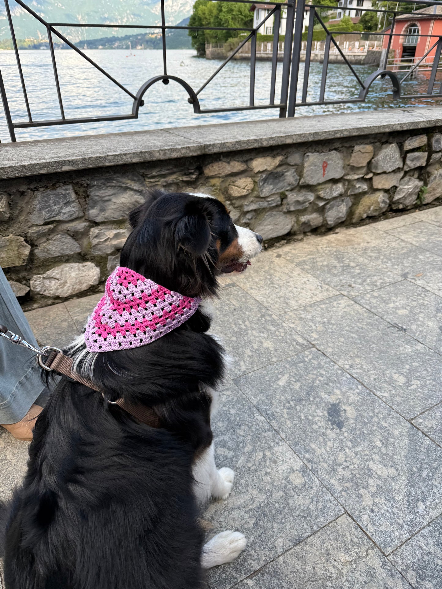 PAW-NDANA bandana per pelosetti
