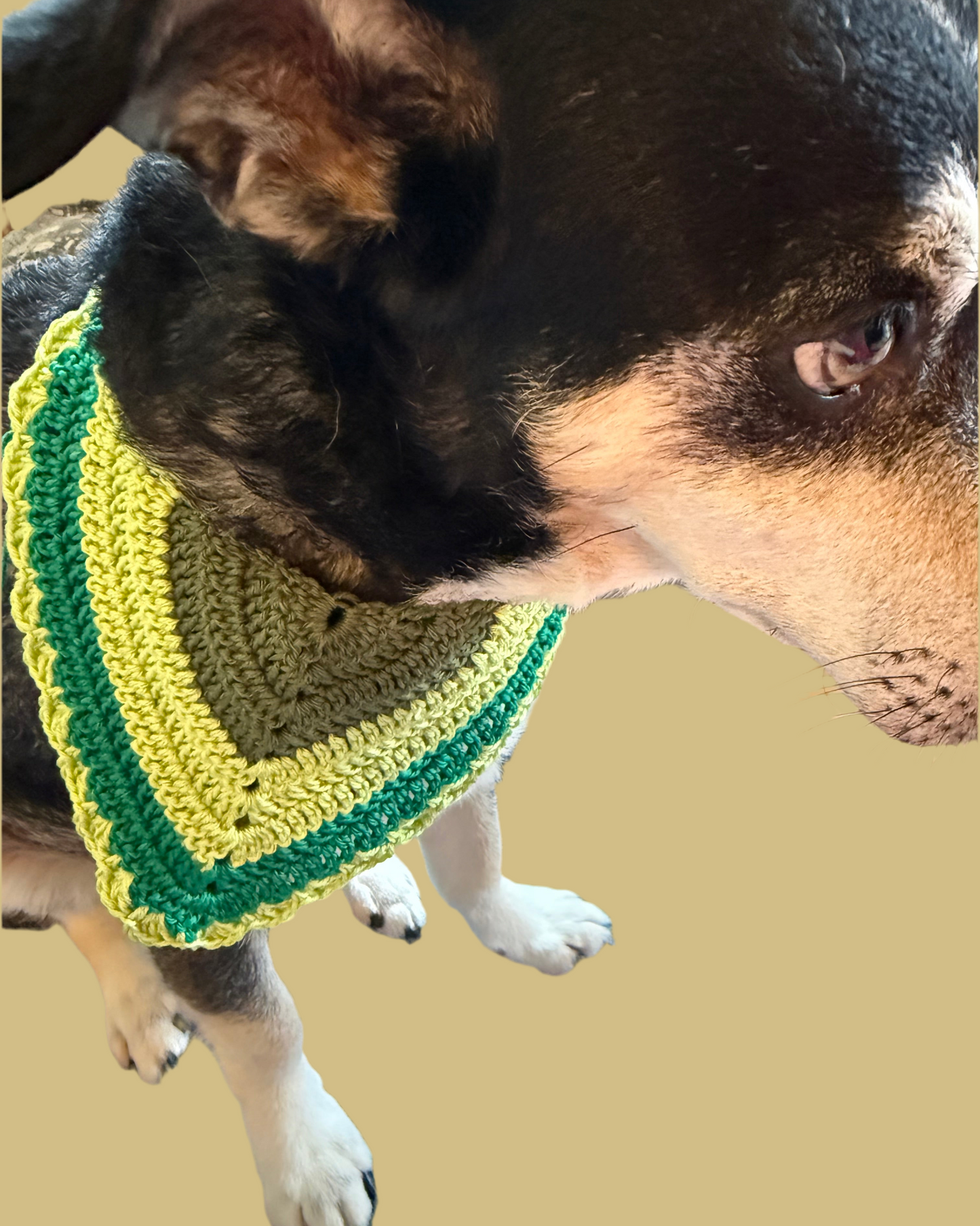 PAW-NDANA bandana per pelosetti